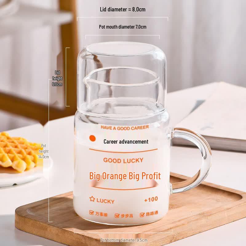 Younor 800ml High Borosilicate Glass Water Bottle with Straw