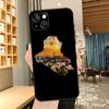Irak Karten Handyhülle Für iPhone 16 17 Pro Max 15 14 13 11 12 Pro Max mini 15 16 Plus 16e 17 Air Hülle