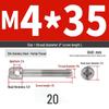 304 Stainless Steel Lead Seal Galvanized Meter Screw with Cross Hole