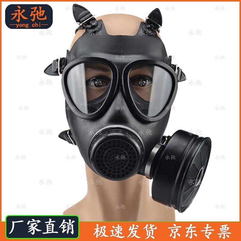 Yongchi FNJ05 Full Face Respirator Kit