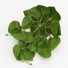 Artificial Amphibian Plants Terrarium Leaves Habitat Decor for Iguana for Turtle