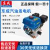 Generator portabil pe benzină Dongcheng FF212-170F 4200W priză CN (adaptor inclus)