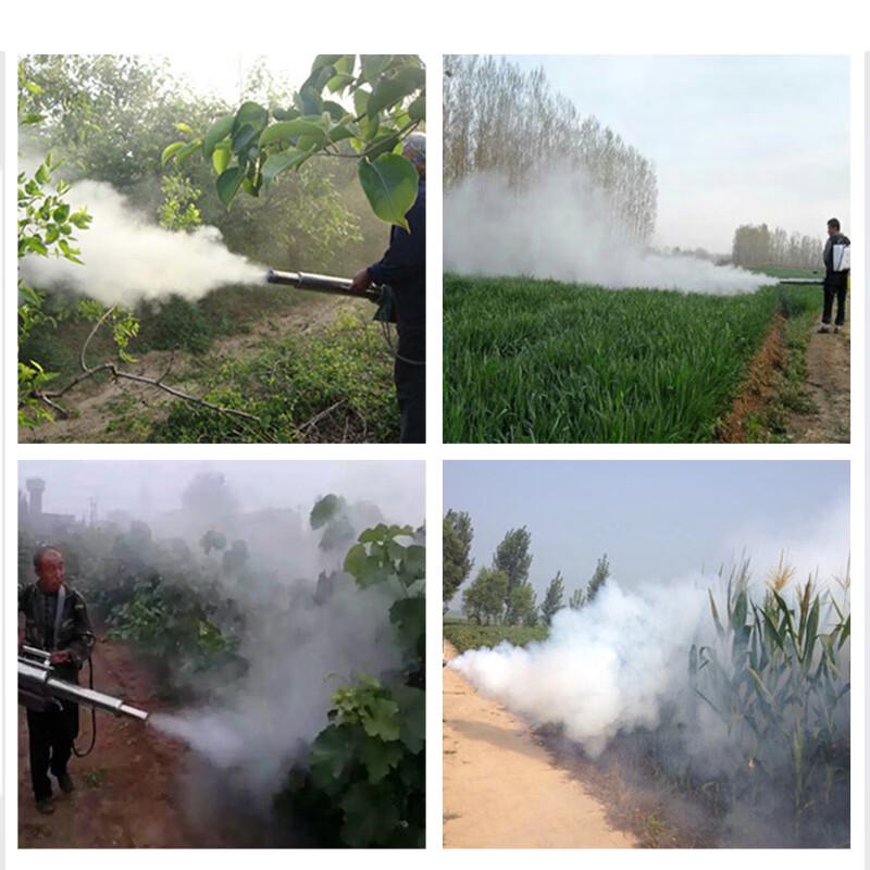 Gasoline Disinfection Pulse Fogger