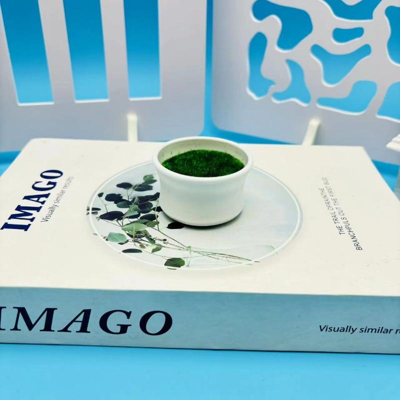 

Треногий Пластиковый Маленький Цветочный Горшок в Форме Талии Бархатный Цветочный Горшок Украшение для Гостиной small