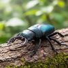 Wild Large Insects Realistic Spider Scorpion Dragonfly Beetle Models - Educational Toys For Kids Gifts For Kids Adults Children's Birthday Gift