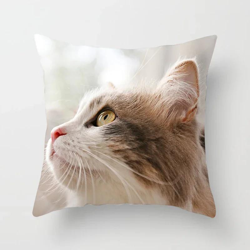 Home Decor Witchcraft Cat Stealing  Cushion Cover Cute  Sofa Car Decoration 45x45cm Pillowcase Square Polyester
