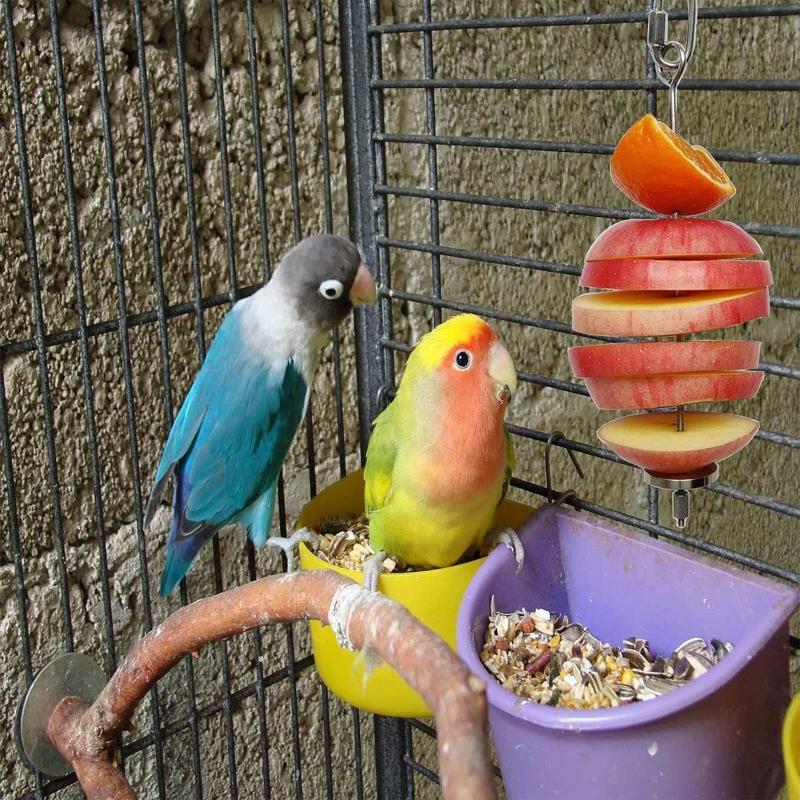 Bird Food Holder Cage Feeder Toy Parrot Stainless Steel Food Bowl Hanging Skewer for Fruit Treat for Lovebird Conure