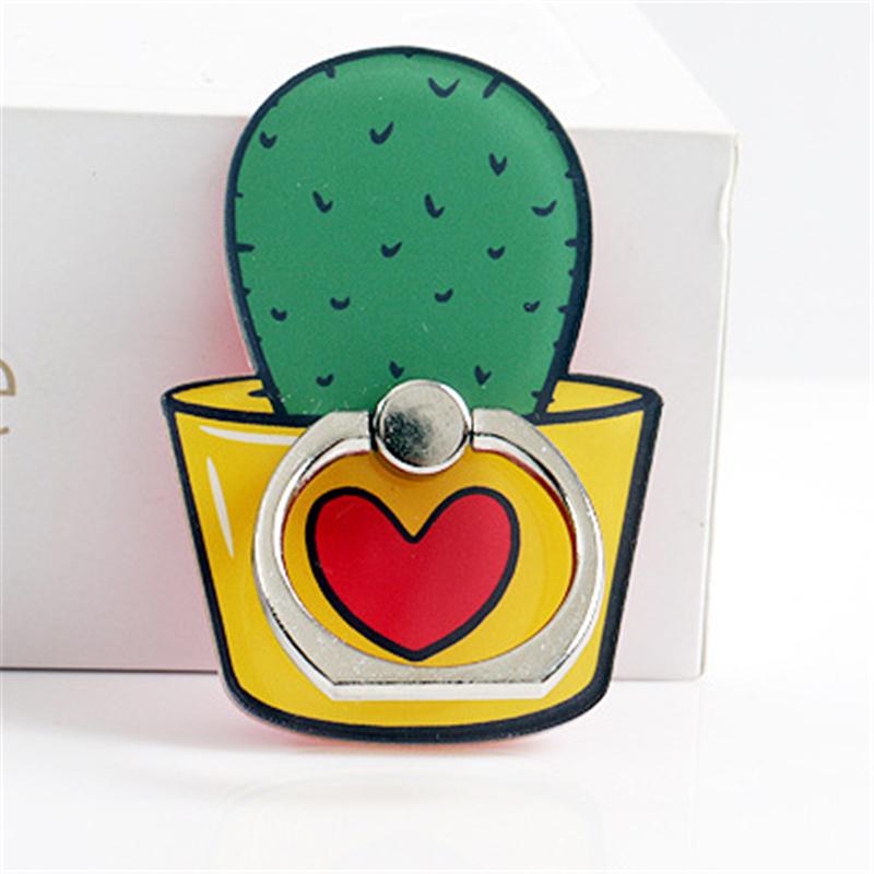 kaktus indoor Interior landscaping Package C · Interior Garden · Desert Cactus – ECOTREE  AU main image 0