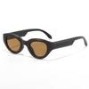 New Polygon Women Sunglasses Vintage Gradient Candy Color Cat Eye Trendy Designer UV400 Protection