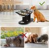 Elevated Pet Feeder with Double Bowls for Food Water, Anti-Vomit Design Dogs Cats Pet Treats Bowl