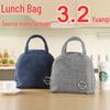 Cationic Waterproof Insulated Large Lunch Bag with Ice Pack for Picnics and Travel