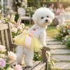 Rabbit Pattern Easter Dog Puffy Skirt Soft Dogs Mesh Fluffy Skirt Pet Princess Dress  Easter Sunday