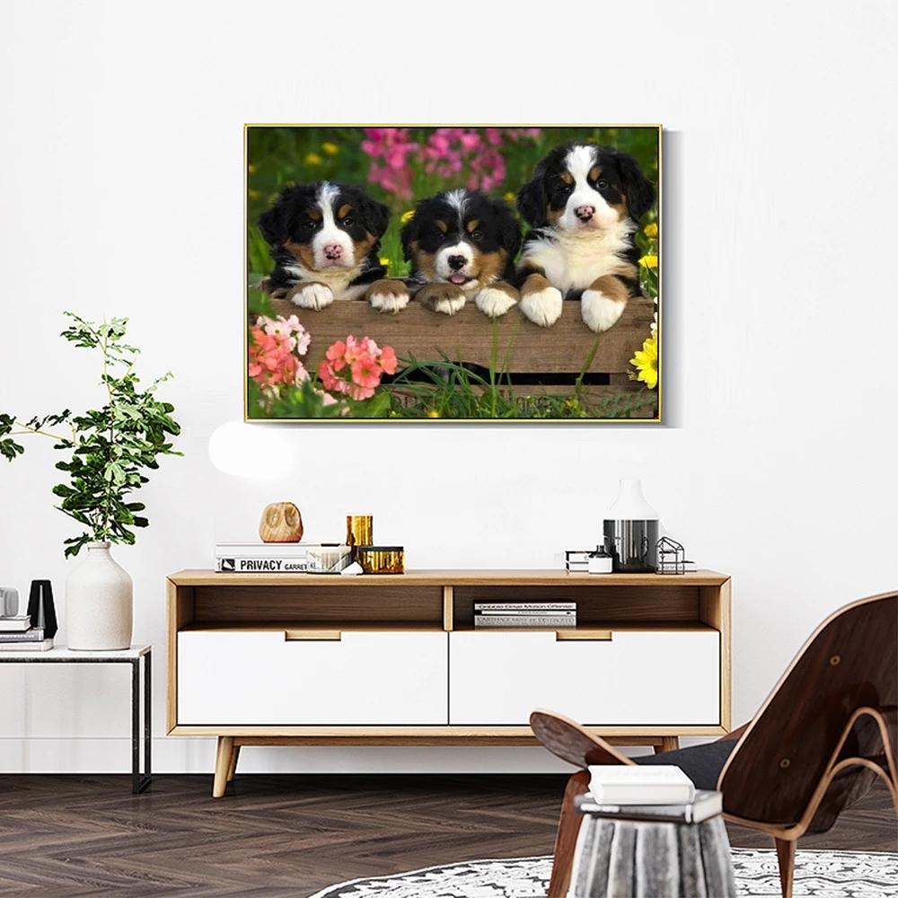 huacan Volle quadratische runde Diamantmalerei Hund Kreuzstich Diamantstickerei Tier Strass Bilder Kunsthandwerk
