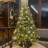 Exquisite High-End Encrypted Crystal Christmas Tree - Available In 1.5m, 1.8m, 2.1m, 2.4m Sizes