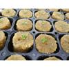 100X Garden 2.7x2cm Seed Starter Plugs Rockwool Cutting Clones Cubes Propagation