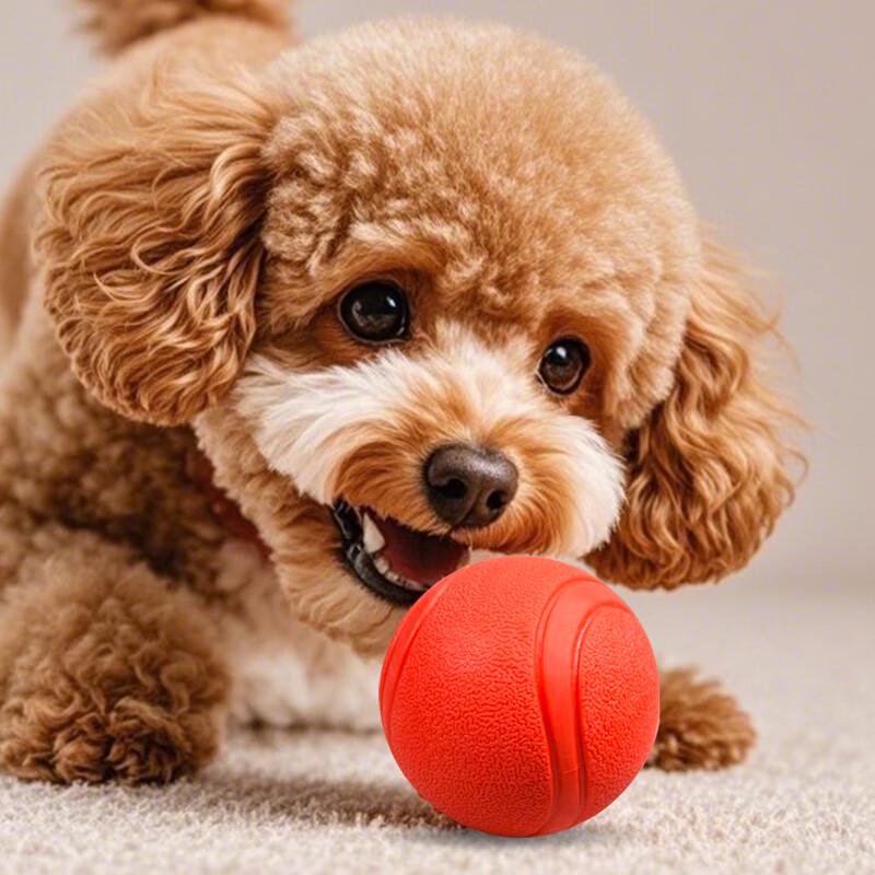 Dog Solid Rubber Training & Chew Ball