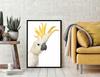 Picture poster In a frame 53x73 cm Cockatoo P1002