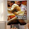 Prison Break Classic TV Series Anime Tapestry Hippie Flower Wall Carpets Dorm Decor Wall Hanging Home Decor