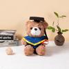 Graduation Teddy Bear In Doctor's Gown with School Emblem - Perfect for Graduation Gifts