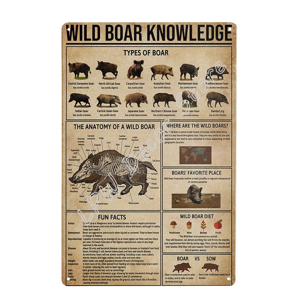 Vintage Metal Signs for Kitchen Wild Boar Knowledge Print Tin Wall Metal Sign Anniversary Birthday Christmas Housewarming Bar