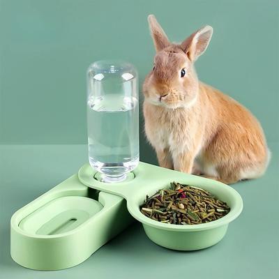 Cani – Distributori di cibo e acqua per gatti