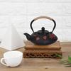 Copper Handle Cast Iron Teapot Straight Hook Spout Tea Pot Kettle Elegant Iron Tea Pot  Tea Brewing