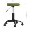 Dining Chair Light Green Velvet