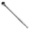 ASTRO PRODUCTS Swivel Ratchet Long Type 02-25661 3/8" Handle, (02-25661)