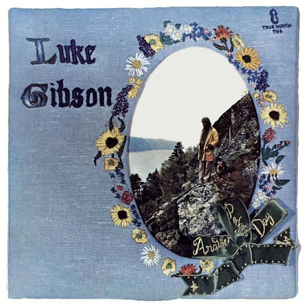 LP Record LUKE GIBSON - Another Perfect Day MAPAN0009LP Mapache Records 2016 USA & Euro Rock