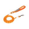 Pet Dog Rope Leash Outdoor Walking Training Lead for Small Medium Dogs