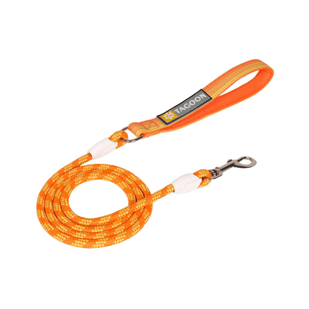 Pet Dog Rope Leash Outdoor Walking Training Lead for Small Medium Dogs