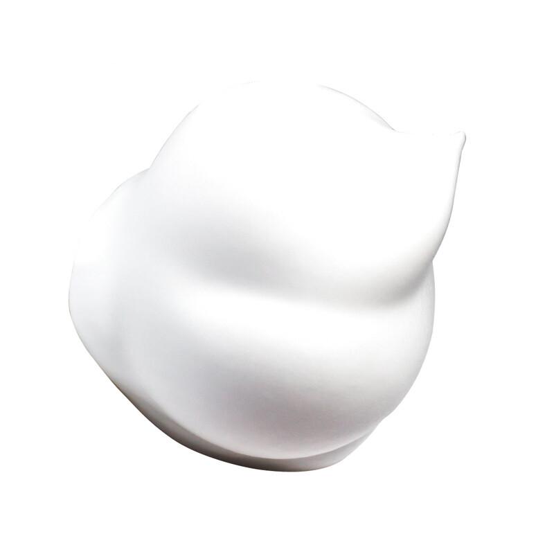 Lion Qujing Foaming Antibacterial Hand Soap