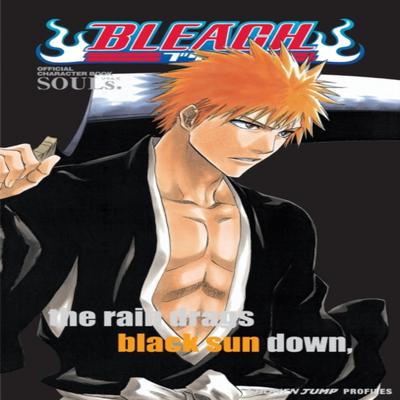 Bleach SOULs. Official Character Book by Tite Kubo Paperback Book 9781421520537