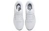 Nike Air Zoom Pegasus 39 'White Grey Fog' DH4071-100