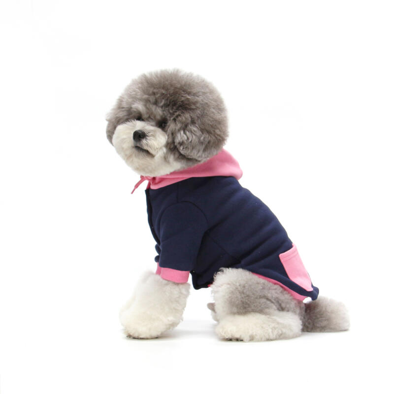 

COLOR POINT HOODIE JACKET-NAVY M