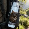 1PC Tabby Cat Sleep Cozy Scene Print 750ml Color Plastic Sports Water Bottle Leakproof Flip Straw Lid Suitable for Sports Office Home Use