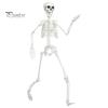 Halloween Skeleton Toy 3ft Life Size Skeleton, Full Body Posable Plastic Prop, Realistic Life-like Decoration Human Bones Model for Yard Patio