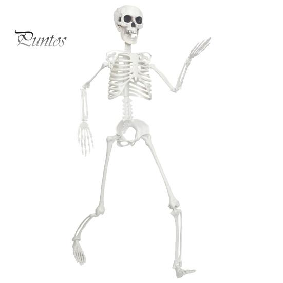 Halloween Skeleton Toy 3ft Life Size Skeleton, Full Body Posable Plastic Prop, Realistic Life-like Decoration Human Bones Model for Yard Patio