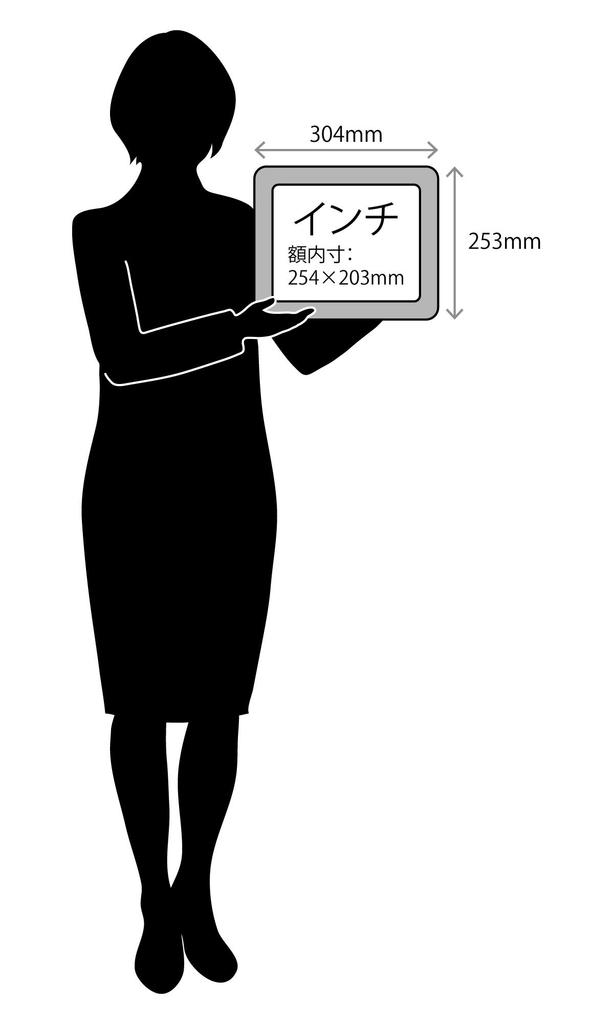 Larson-Juhl Nippon Picture Frame D715 Sepia Acrylic D715201