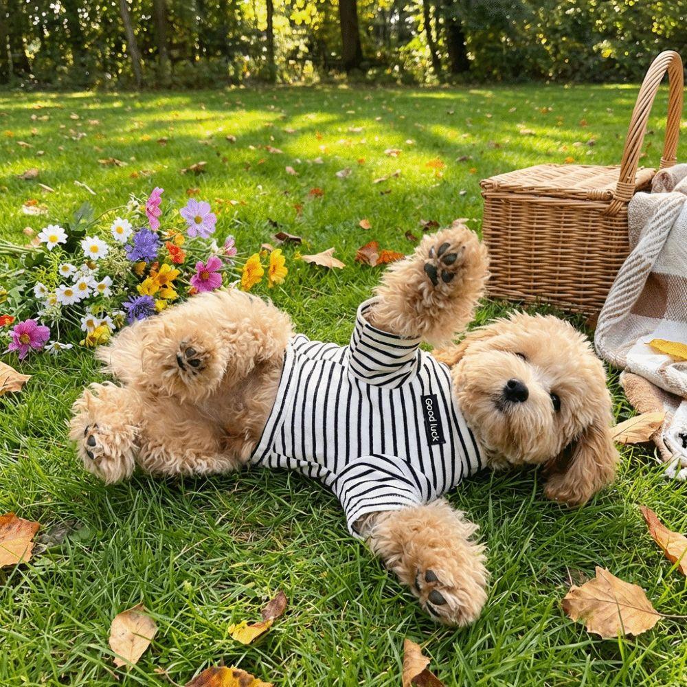 Warm Dog Thermal Shirt Soft Pet Warm Sweater Dog Clothing Dog Base Coat Cold Weather