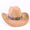 Popular European and American Classic Suede Western Cowboy Hat Men's and Women's Big Brim Embroidered Outdoor Sun Hat