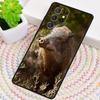 Wild Boar Pig Brown TPU Phone Case For Samsung Galaxy note 10 pro S26 S25 S24 S23 S22 Ultra Plus S21 FE S20 Shockproof Cover
