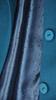 Bona 38 Coat for Spring, Autumn, Winter, Classic
