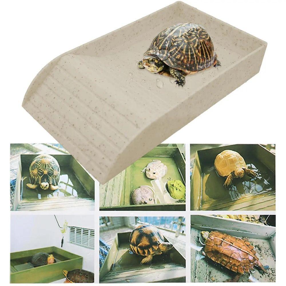 Smooth Tortoise Feeder Burr-free Turtle Feeding Basin Reptile Water Bowl  Snake