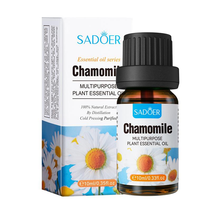 Massage Essential Oil   Plant Therapy Top 3 Organic Essential Oil Singles Set 10 mL Natural Aromatherapy for Diffusion and Body Care
