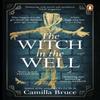 The Witch In the Well by Camilla Bruce Paperback Book 9781804993163