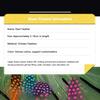 50pcs Small Size Natural Feathers Spotted Pattern Real Plumes Spotted Feathers Multicolo Natural Color Fake Eyelashes DIY