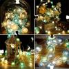 30 Lights String Lights Plastic Lamp Shell String Lamp New LED Lights  Home/Outdoor