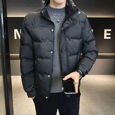 Men's Winter Thickened Down Jacket: Slim, Warm, Stand-up Collar, Stylish Korean Style.