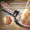 2 In 1 Male Prostate Massager Vibrator Anal Plug Cobra Penis Ring Ass Plug Vibrator Erotic Toy Male Masturbator